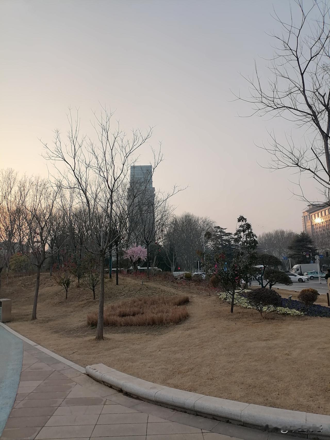 【日本稀土】2026年初，日本成功开展6000米深海稀土泥试采工作，这标志着其相