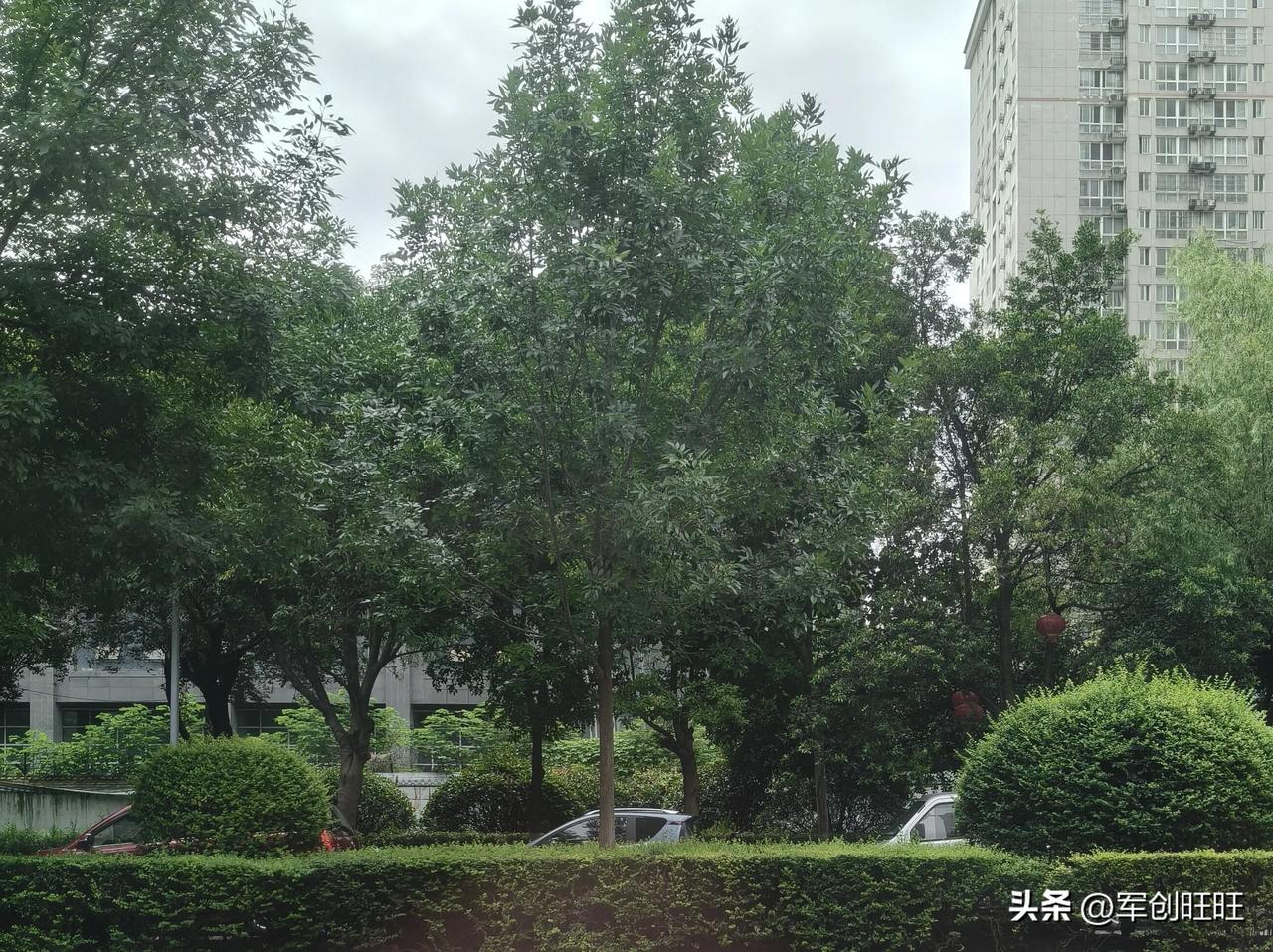 多少夫妻白手起家，最后只剩一方负重前行，看完汤女士的经历满心唏嘘。
她和前夫一同