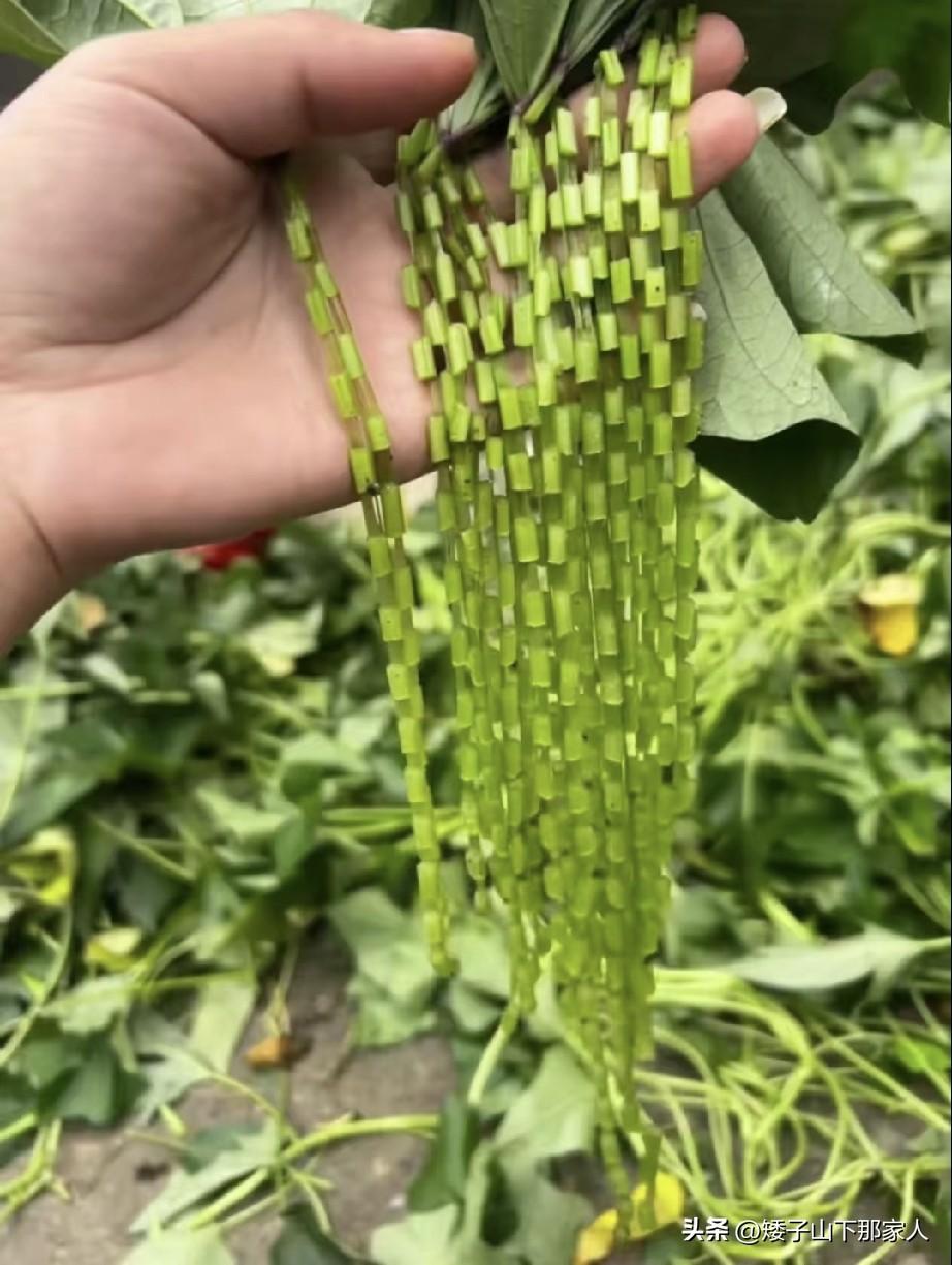 现在的孩子都没有玩过这个吧？