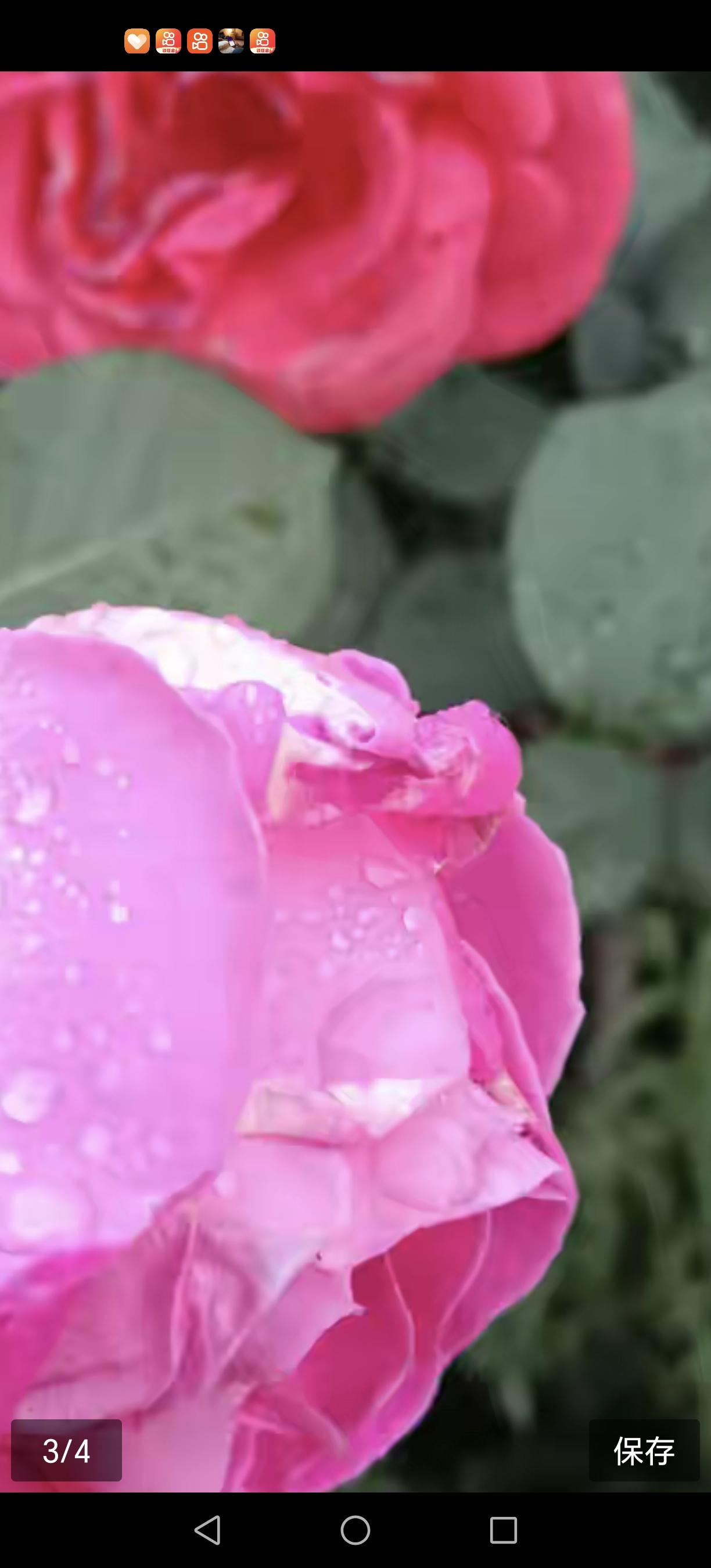 你陪他从无名走到光芒万丈，最终却被丢弃在人海茫茫。这样的痛，像寒冬里刺骨的风，吹