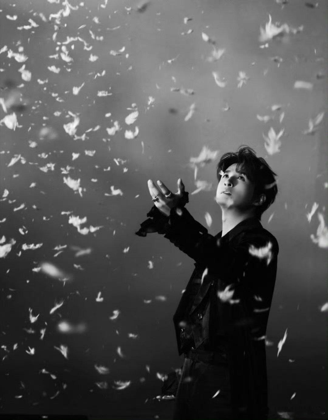 张远官宣加盟声生不息华流季 声生不息 华流季阵容太绝！张远加盟，舞台期待值拉满～