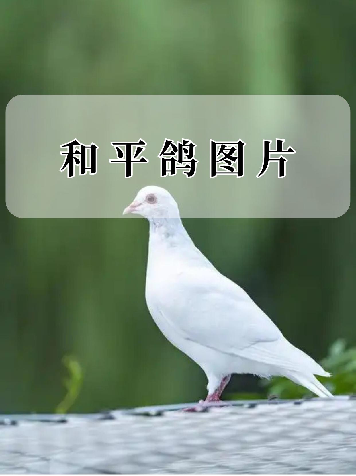 最近，大家都看到，俄罗斯和乌克兰的战争有点更激进紧张了。也就是战火越来越大了。