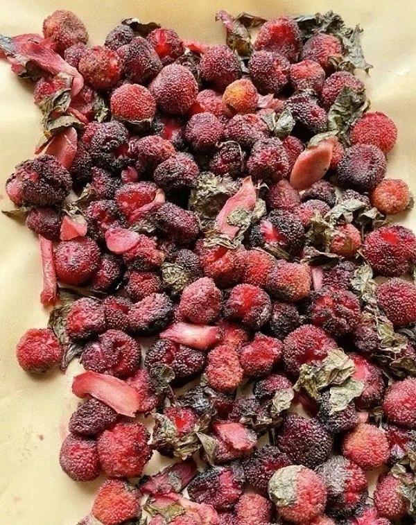 除了湖南，其他地方还有这种东西吗？ 你们有没有尝试过紫苏杨梅姜呀？不得不说湖南人
