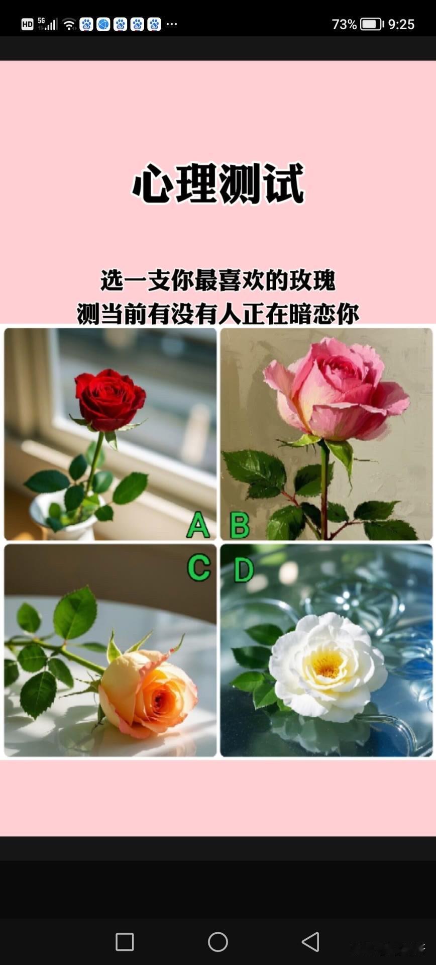 选一支你最喜欢的玫瑰测当前有没有人正在暗恋你