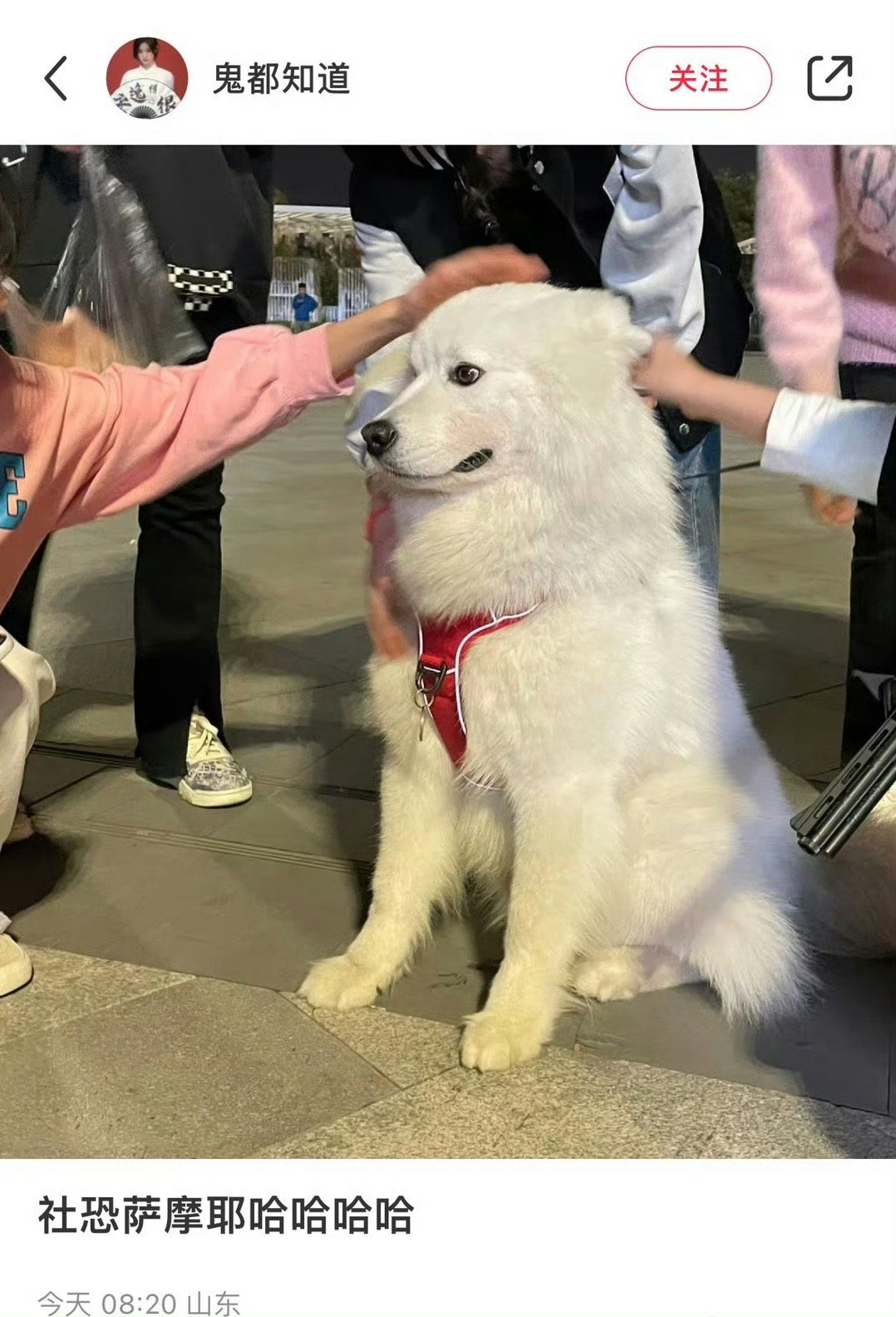 直观感受到i狗的咬牙坚持 ​​​