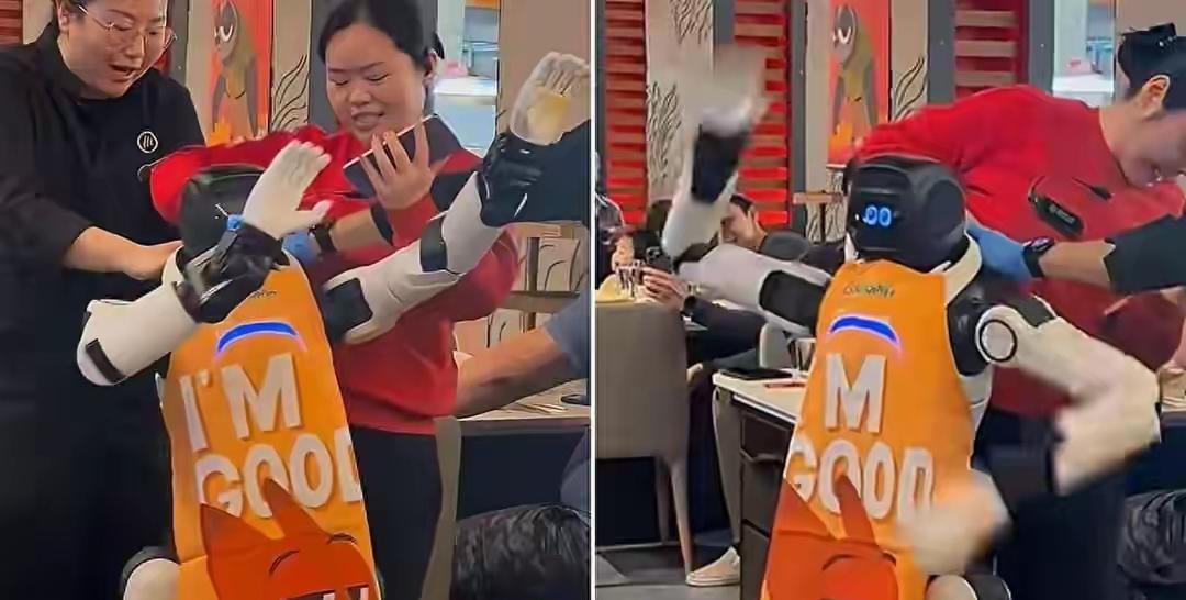 完整榜单来了！加州火锅店机器人突然蹦迪，这到底是怎么回事？你没看错，机器人蹦迪，