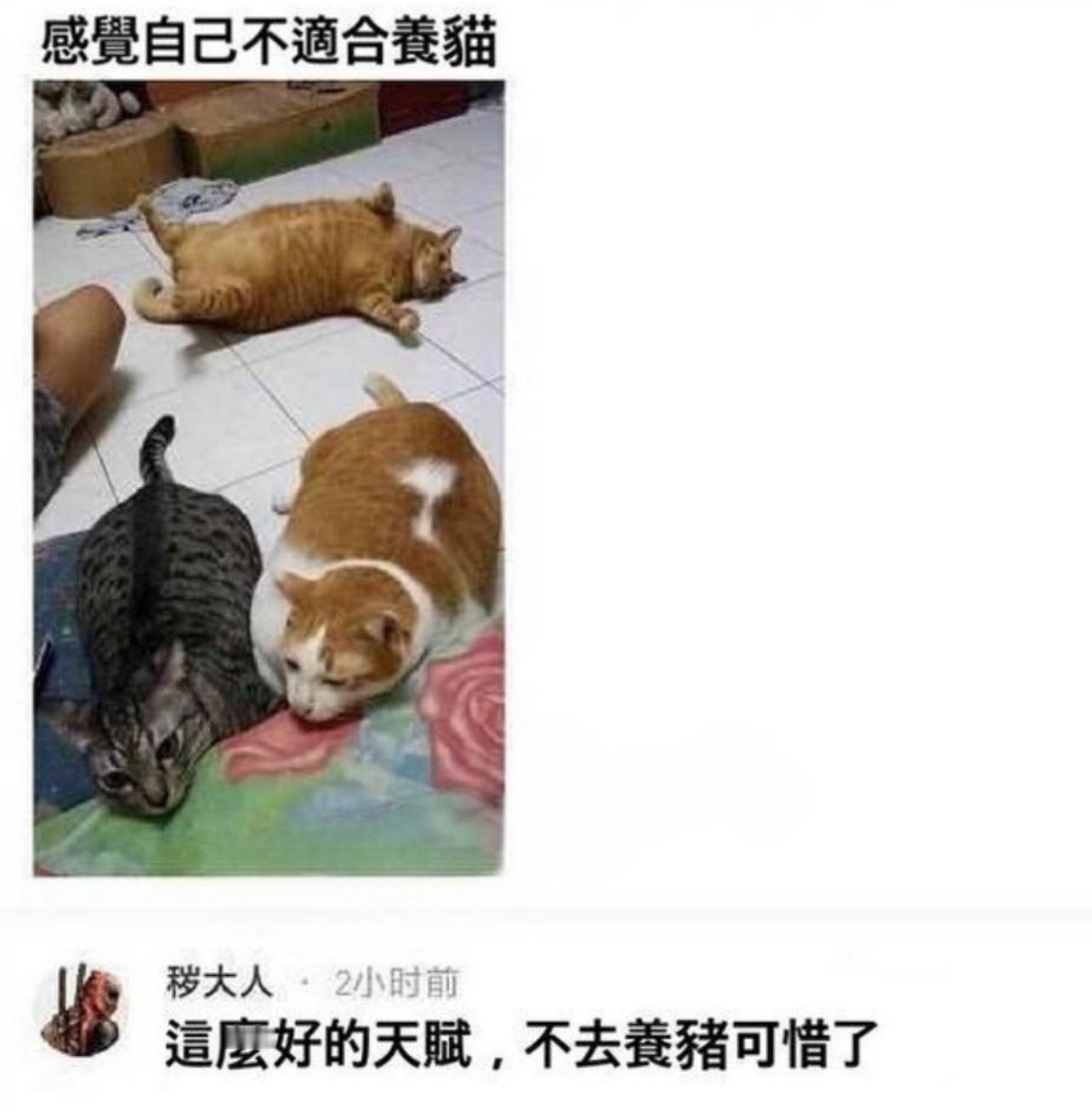 选错了赛道#镜头下的笑容# ​​​