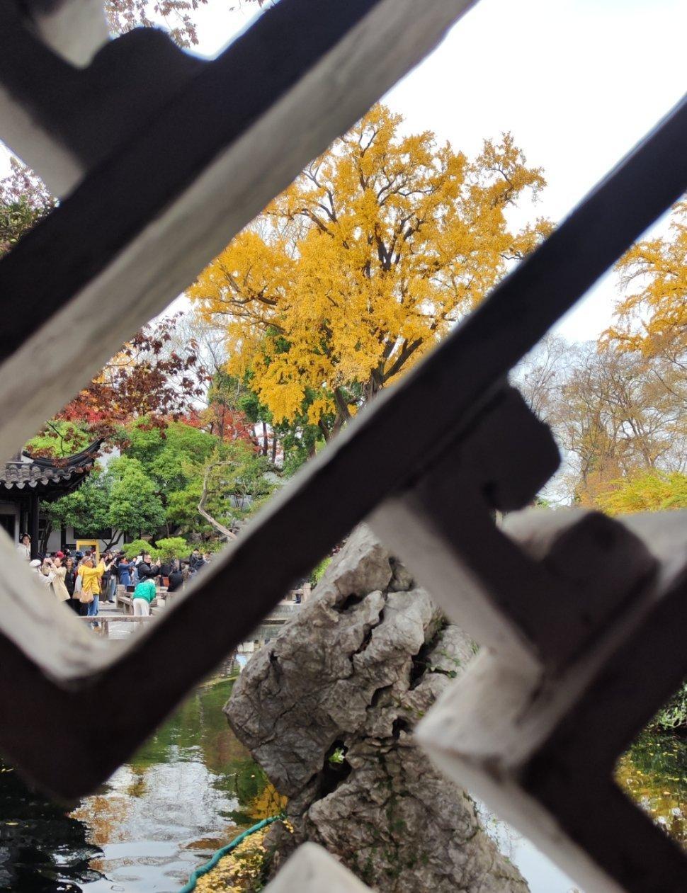 来苏州几天，最喜欢的莫过于留园了。大饱中式园林的精华，彻底体会了那种曲径通幽、层