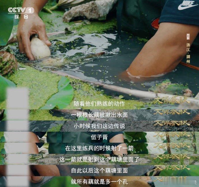 湖州的藕为什么有11个孔湖州人吃藕吃出新高度这波藕界内卷湖州赢麻了！传说伍子胥一