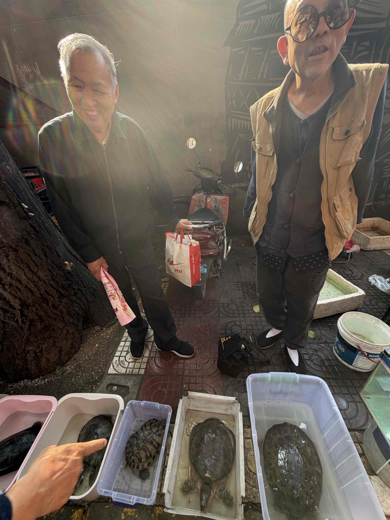 不久前，我去逛西安档子，走到西仓西巷时，看到路边售卖鳖的摊点，围着不少人，就走了