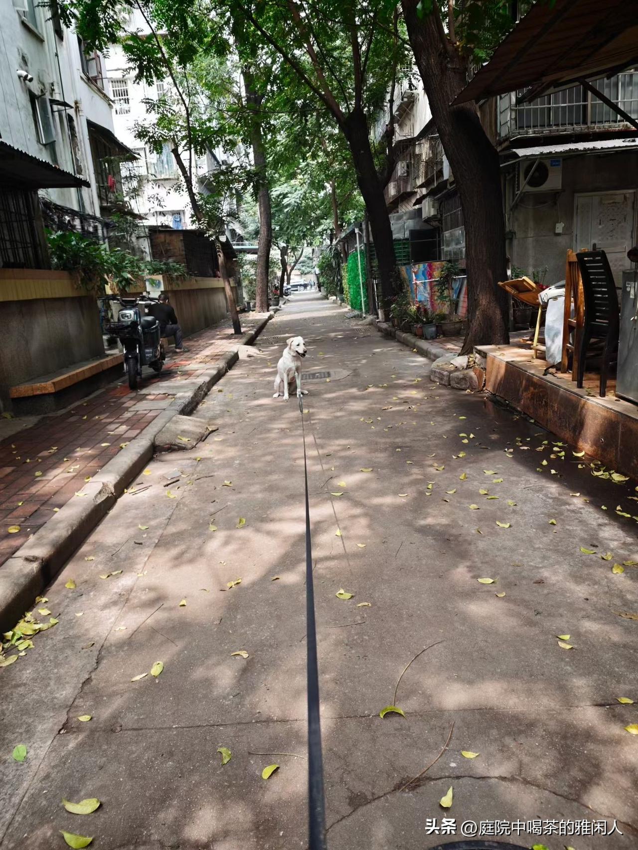 新华书店招聘 今天去面试了
新华书店国企，五险，一看就心动了。兴奋到六点就起床了