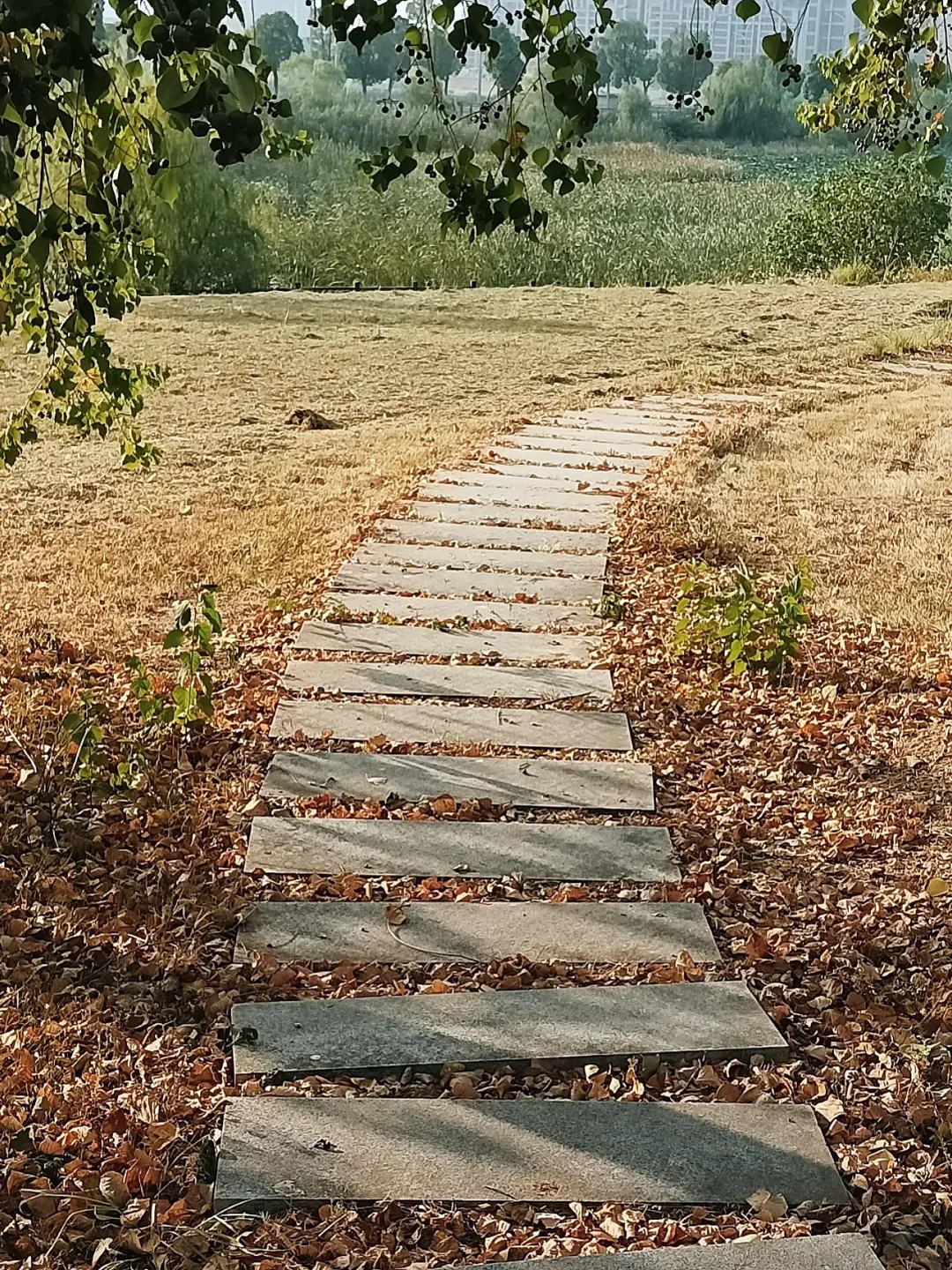 小众露营地🏕️住在江夏的不用跑东湖啦