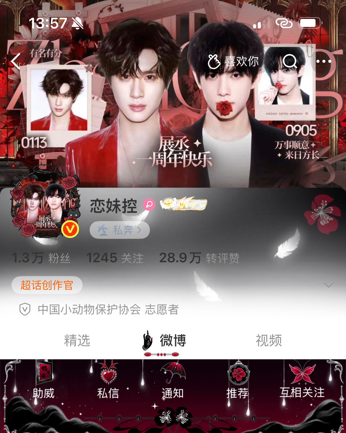 所有人专注展丞一周年版头网页链接  专栏 · zbm