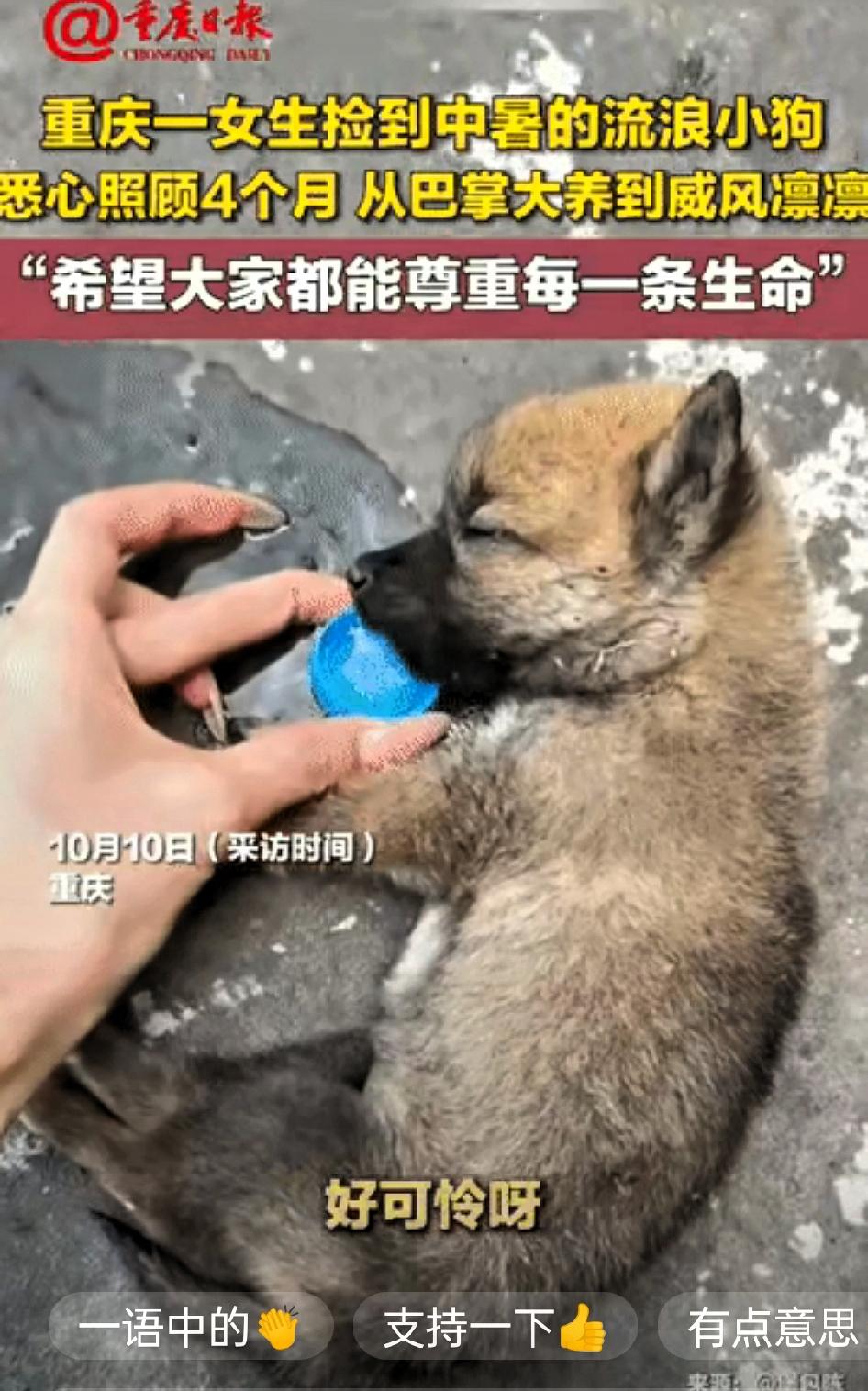 “被爱会疯狂长出血肉！”重庆这位女生的善举，看完直接暖到心里

六月的重庆热到路