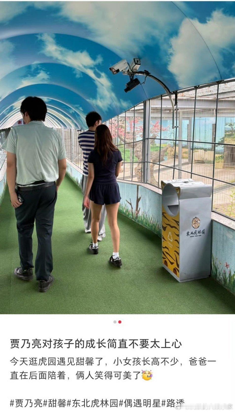 暑假贾乃亮带着甜馨回到哈尔滨老家出游，被路人偶遇，父女穿搭简单朴素，一同观赏老虎