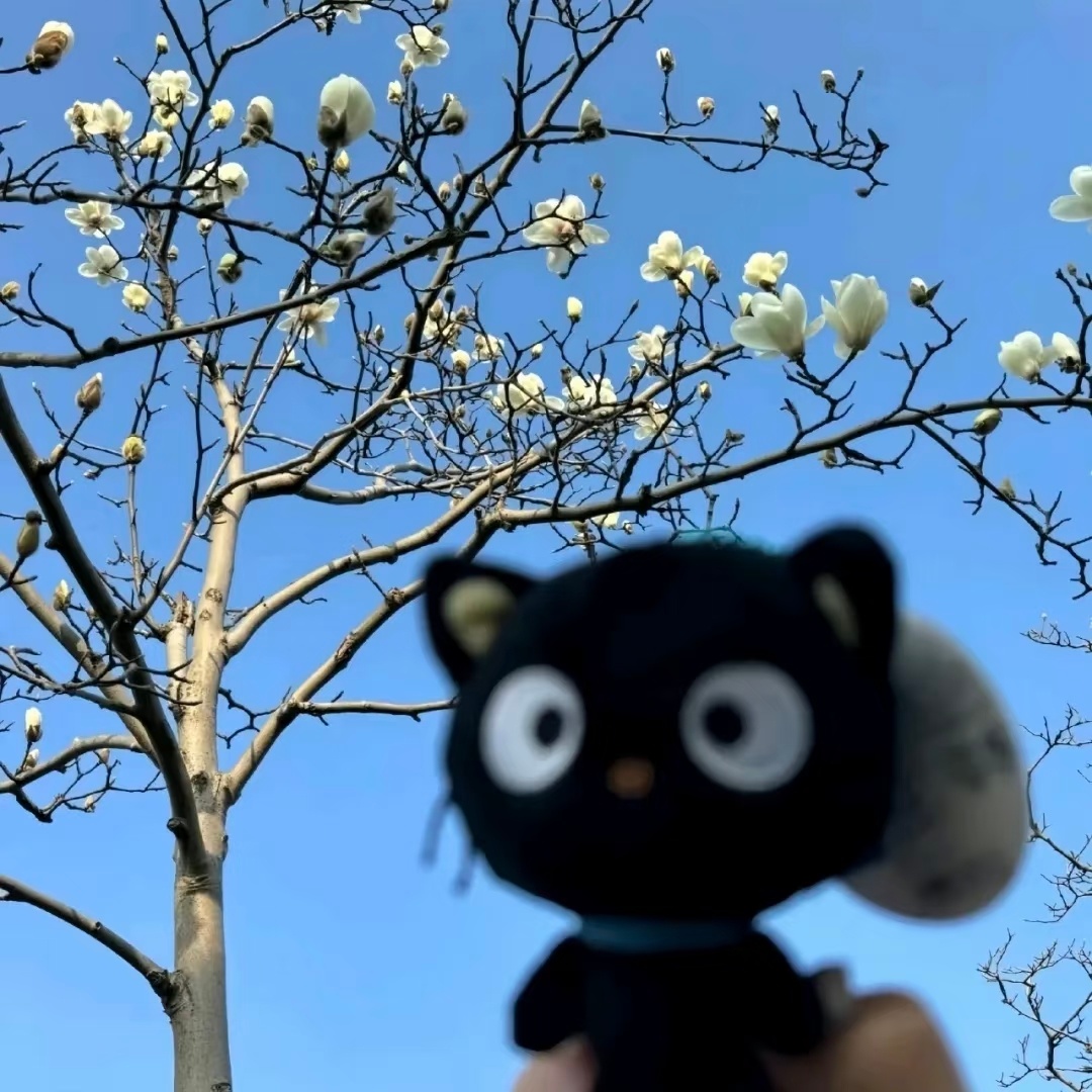 𝐒𝐡𝐚𝐫𝐞丨小众韩系背景图 ｜蓝色背景图 ｜背景图 