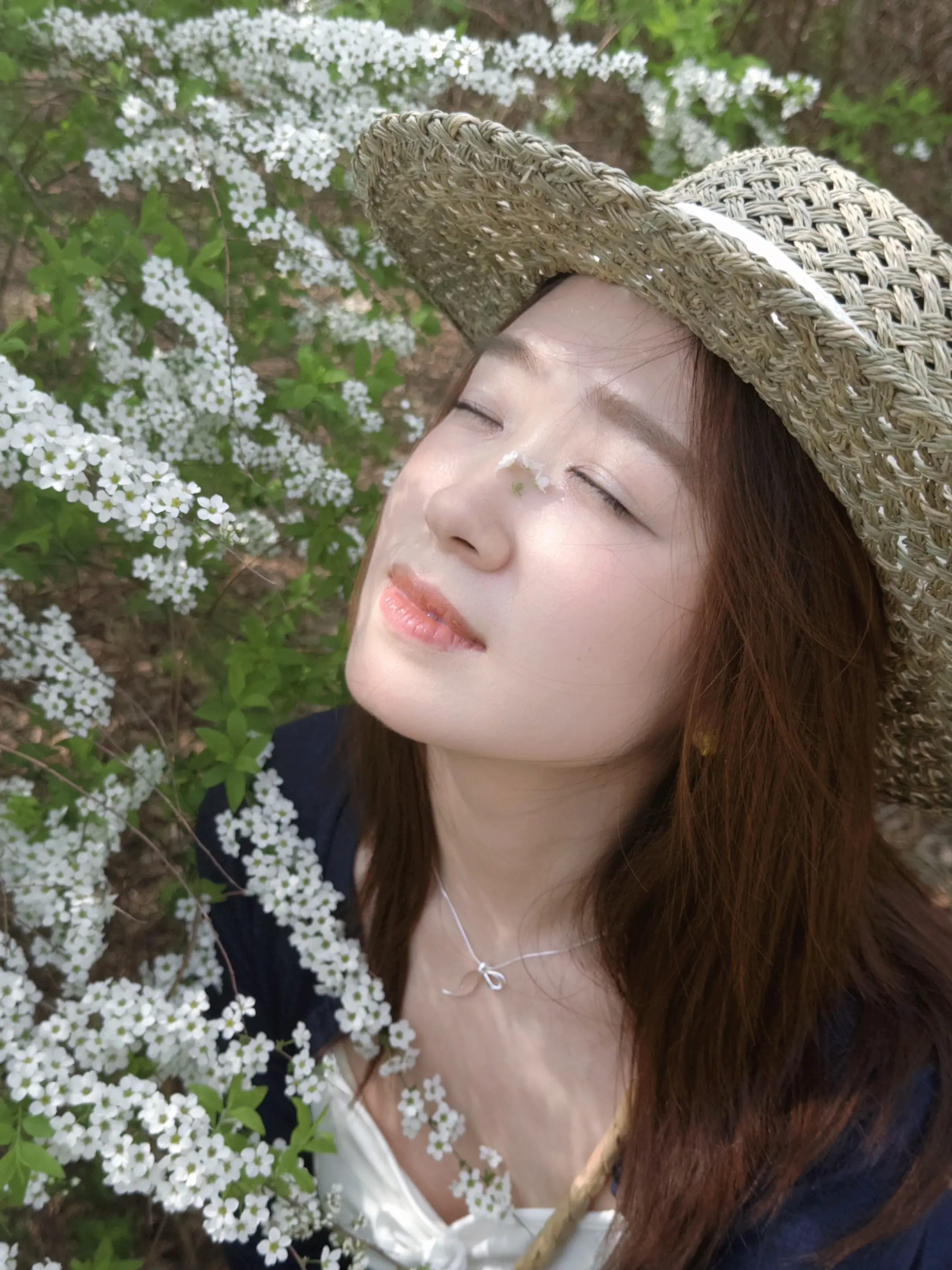 那天 我经过一片花园 可惜你不在