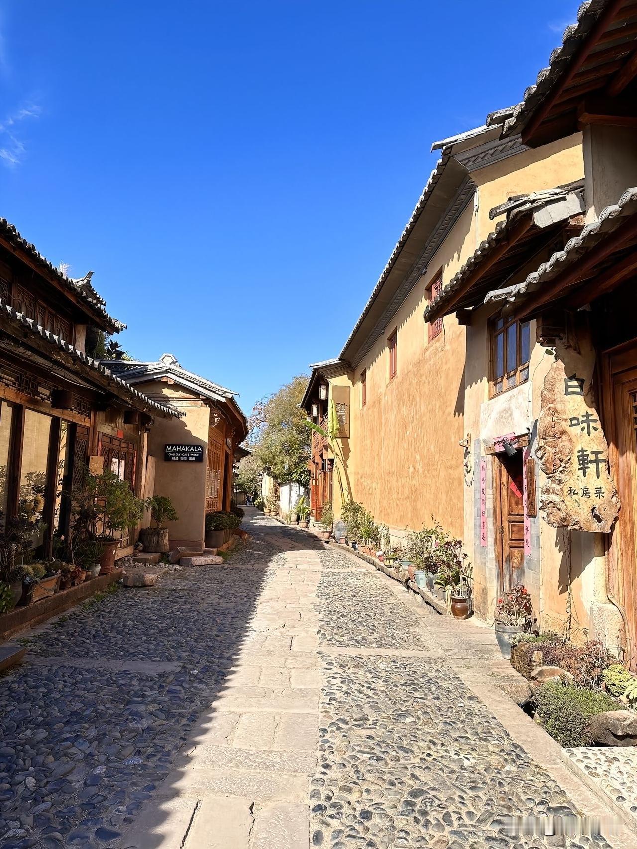 秋冬意浓，古寺旁金黄银杏树，静谧如画。