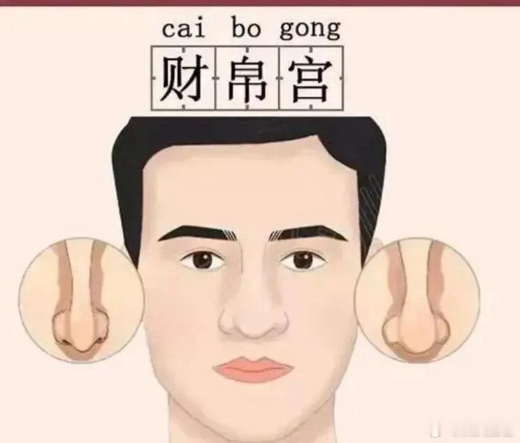 很多人误以为鼻子大就有钱，这是错的。聚财前最明显的特征是鼻头前两侧的鼻翼开始泛出