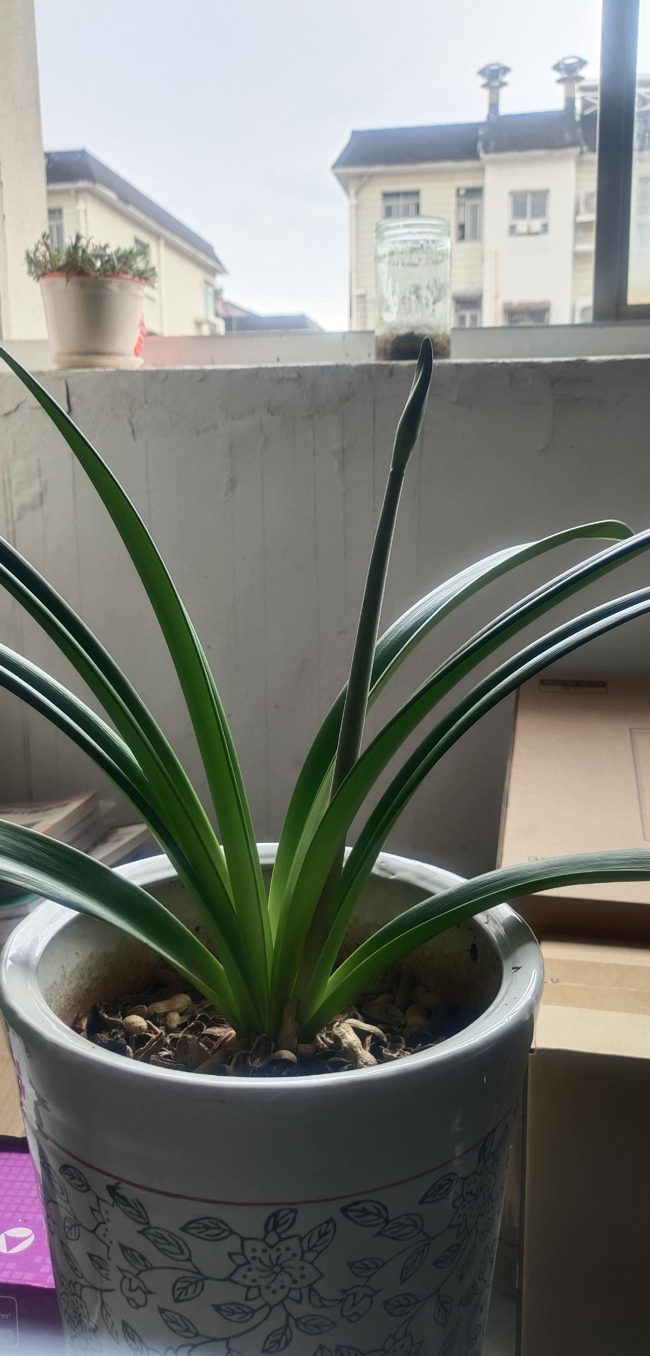 昨天有姐妹留言：写头条要不要垂直做下去呢？一句话总结：垂直是为了生存，有粉丝基础