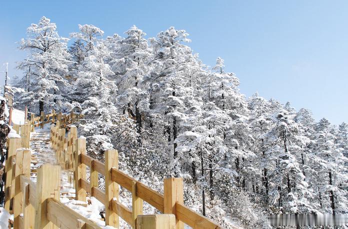 【西岭雪山】西岭雪山位于中国四川省成都市西郊，大邑县境内（距成都95公里）总面积