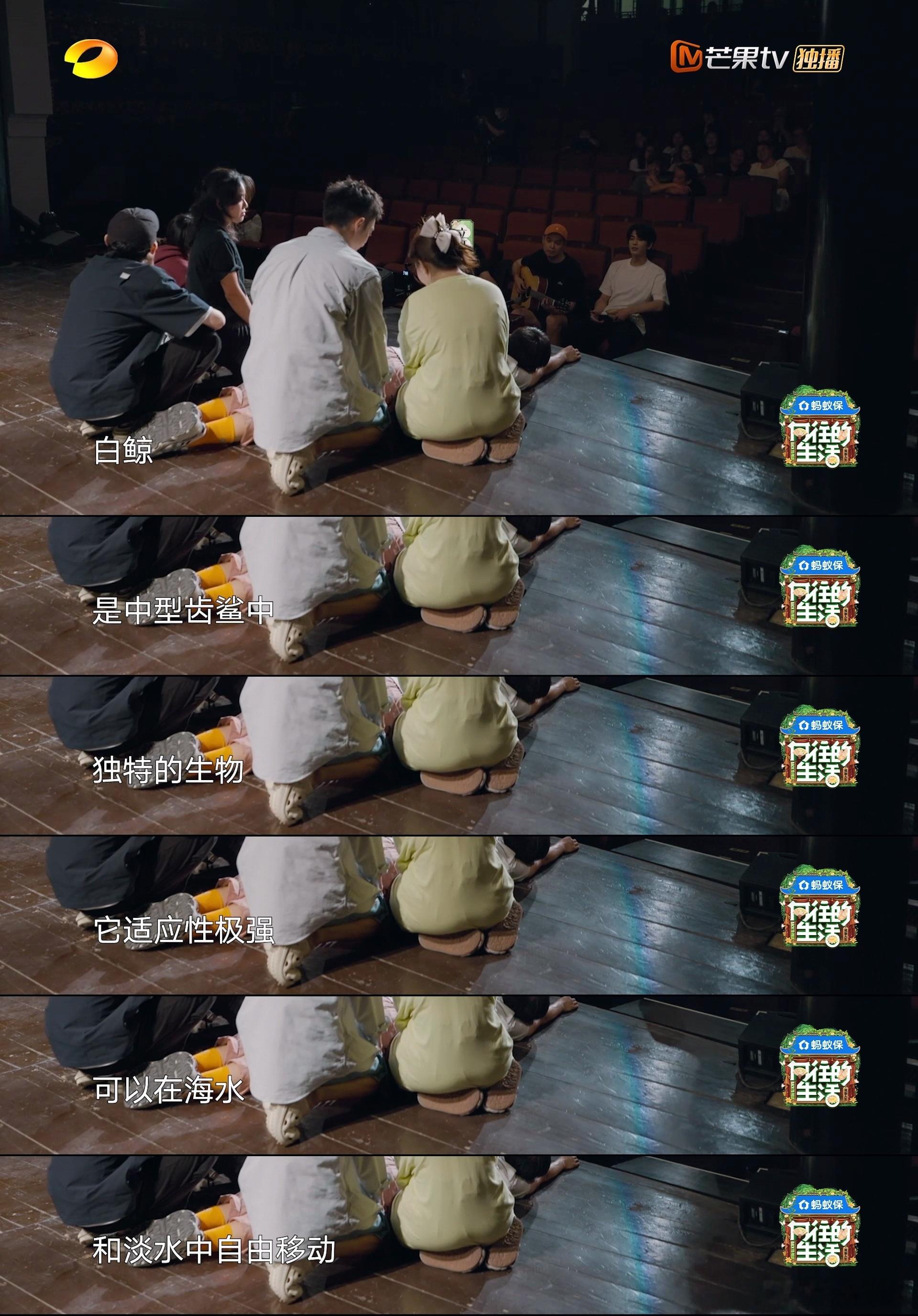 谁懂 这时候出现的含金量！《蘑菇屋奇妙夜之尝尝咸淡》戏剧舞台上，凌赫作为惊喜如天