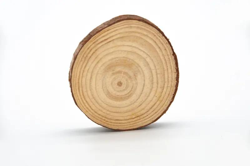 一春一秋一轮回，年轮渐长悟道深。