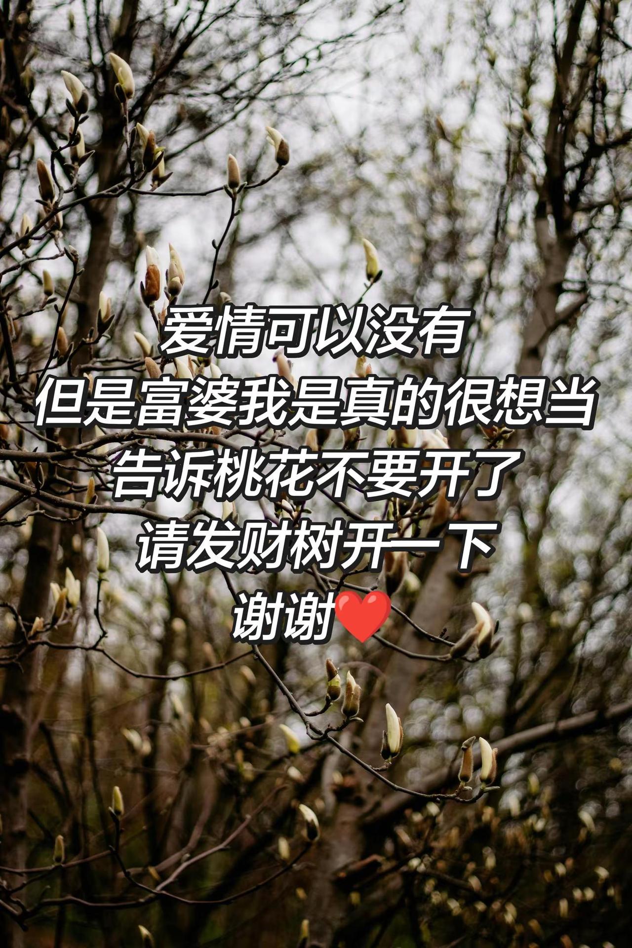 我不贪心😏有钱和漂亮就行了