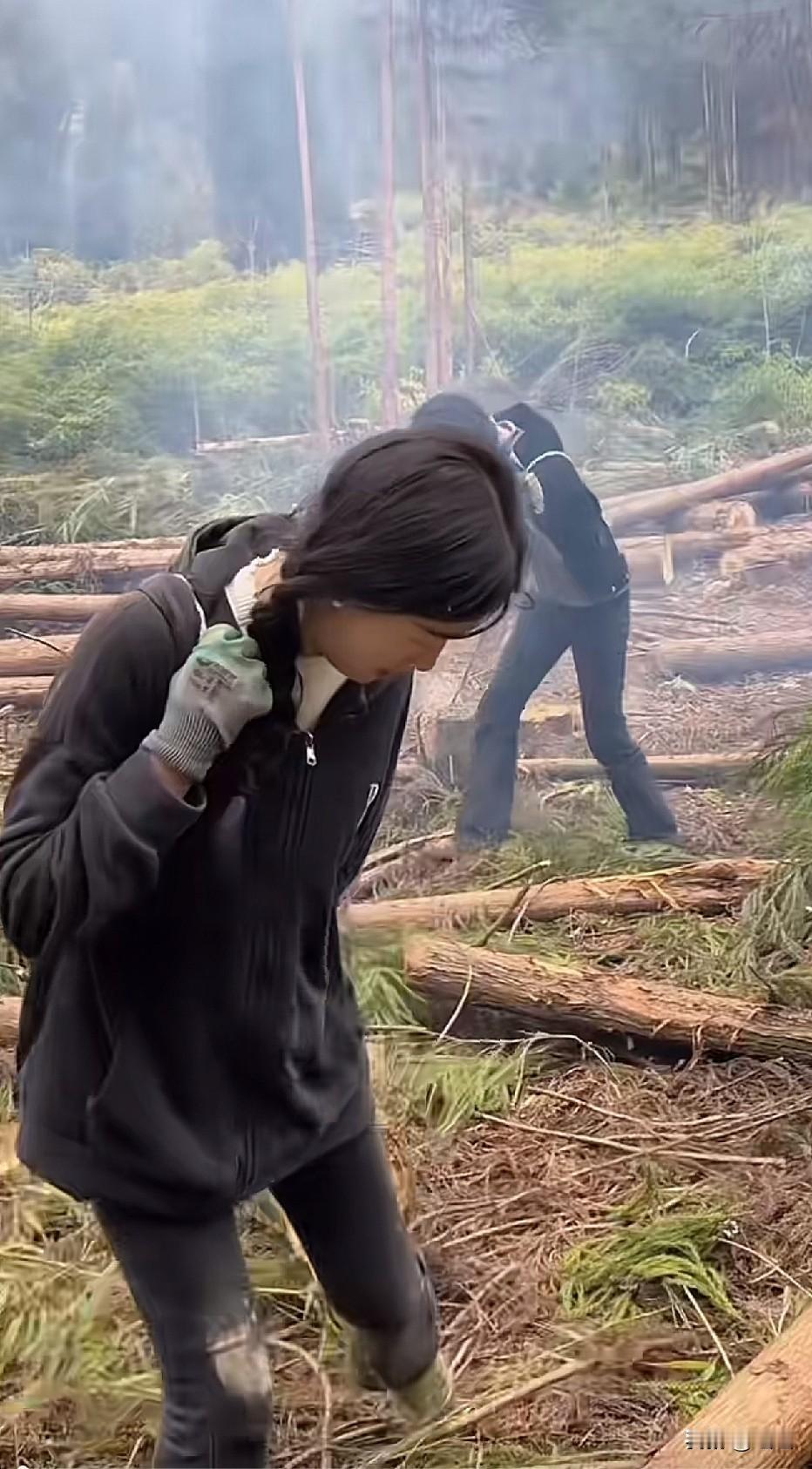 这个地方的树砍了几年了，还没有砍完