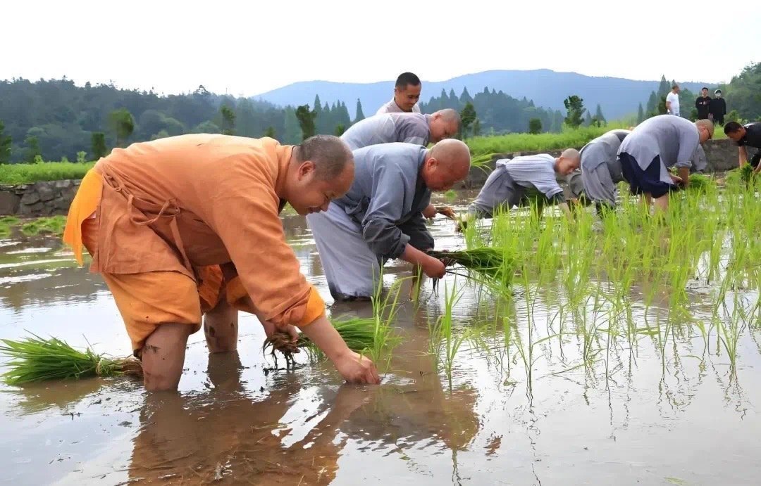 30多名少林寺僧人连夜离职！这场阵痛深入骨髓，谁才是佛门守夜人？ ​​​