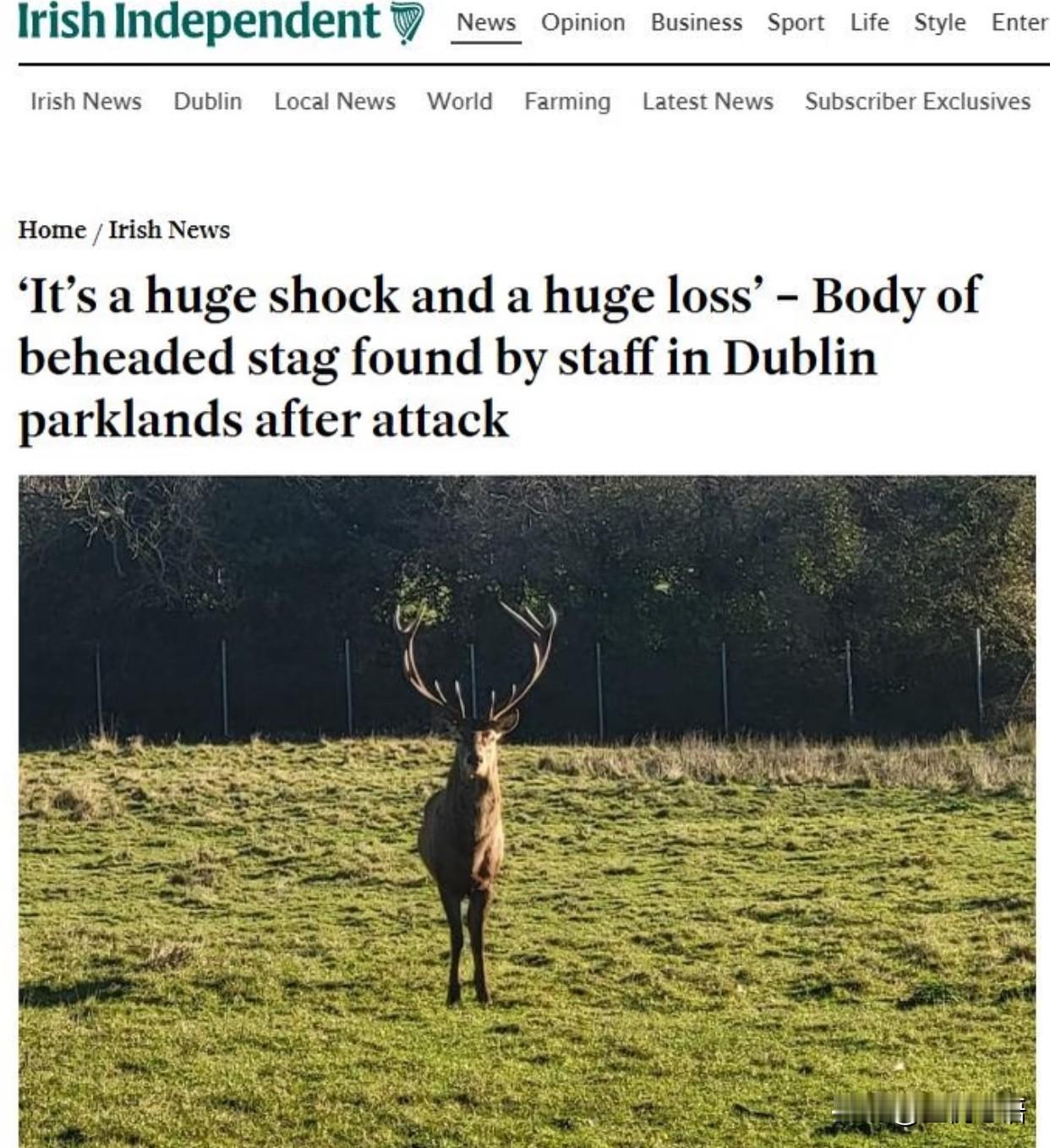 破防了！都柏林鹿王遭残忍斩首，
就为挂墙当“战利品”？😭

谁能想到啊
在都柏