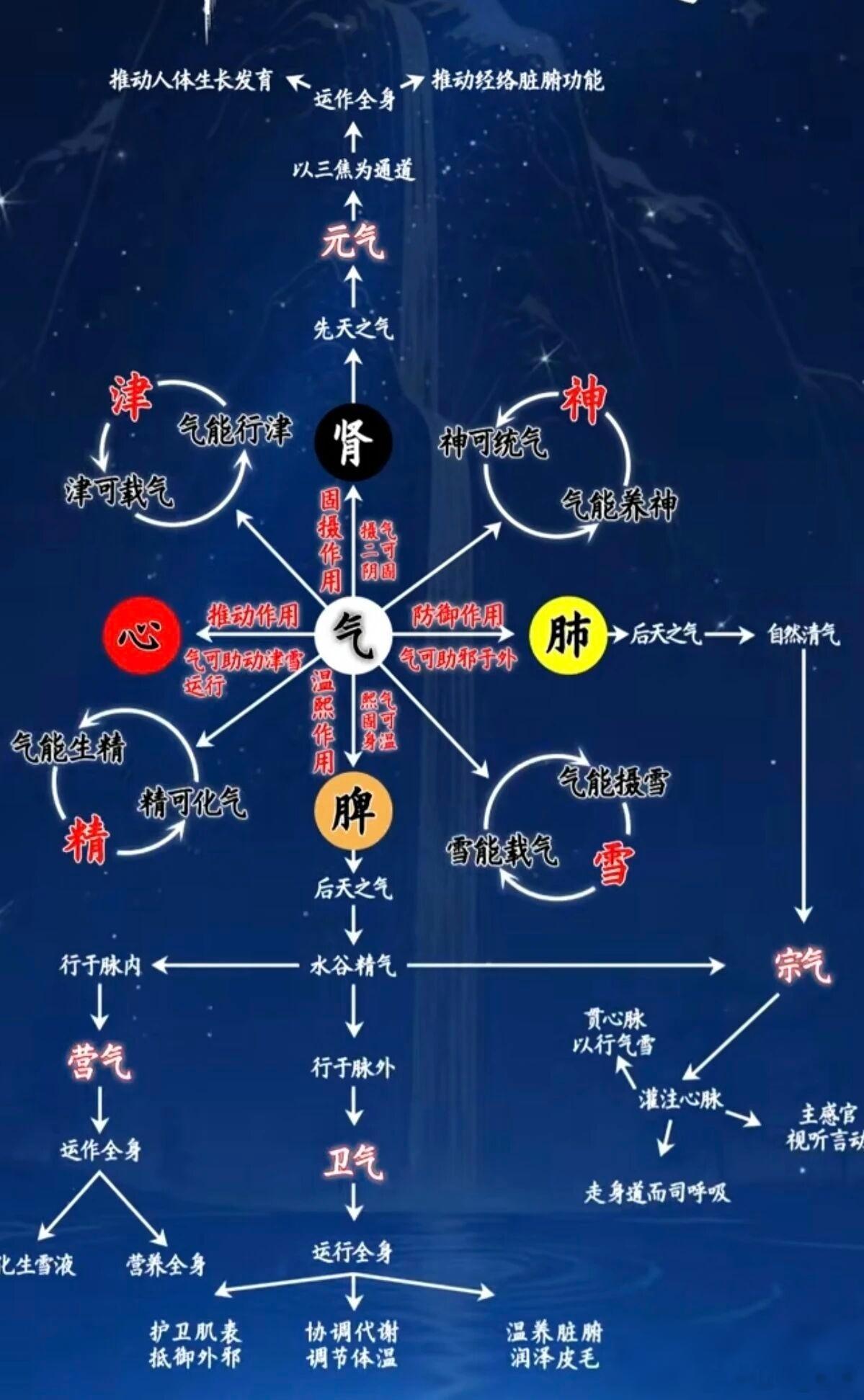 核心：中医做对的，是“治病求本”和“整体调节”，而非“头痛医头，脚痛医脚”。具体