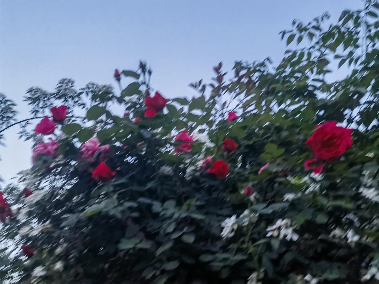 疗愈不是一场与过去的战争，而是一场与自己的温柔和解。