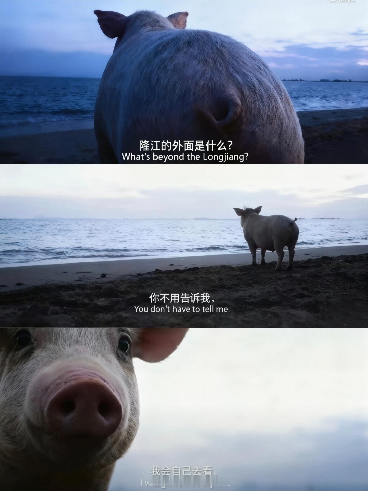 来了深圳就知道了，隆江美食，哈哈。 深圳