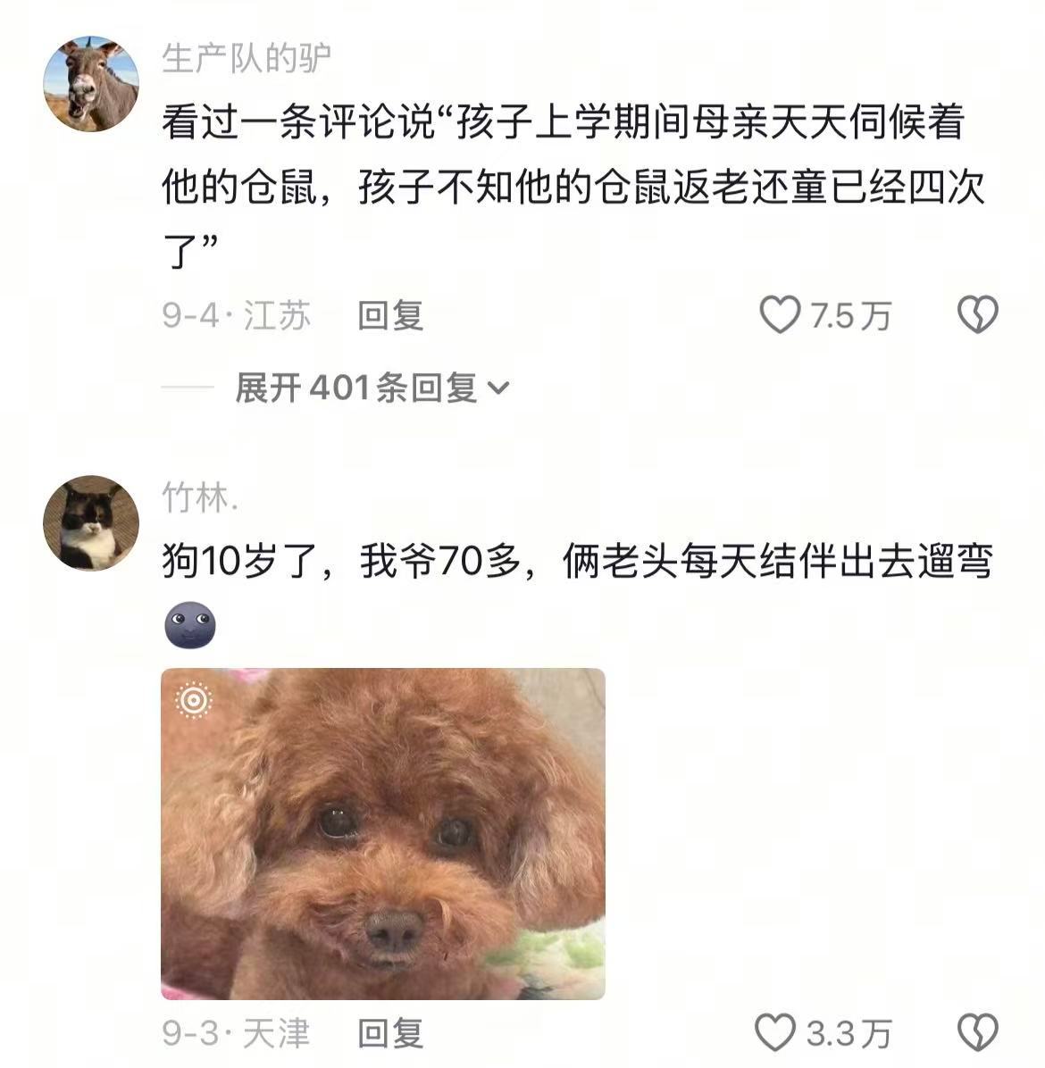 打开了一本名为《开明家长》的书 