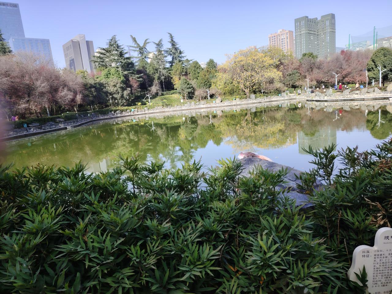 我不会拒绝，毕竟我是个习惯逆来顺受的人。有一年，学校安排我教初一一个班的语文，同