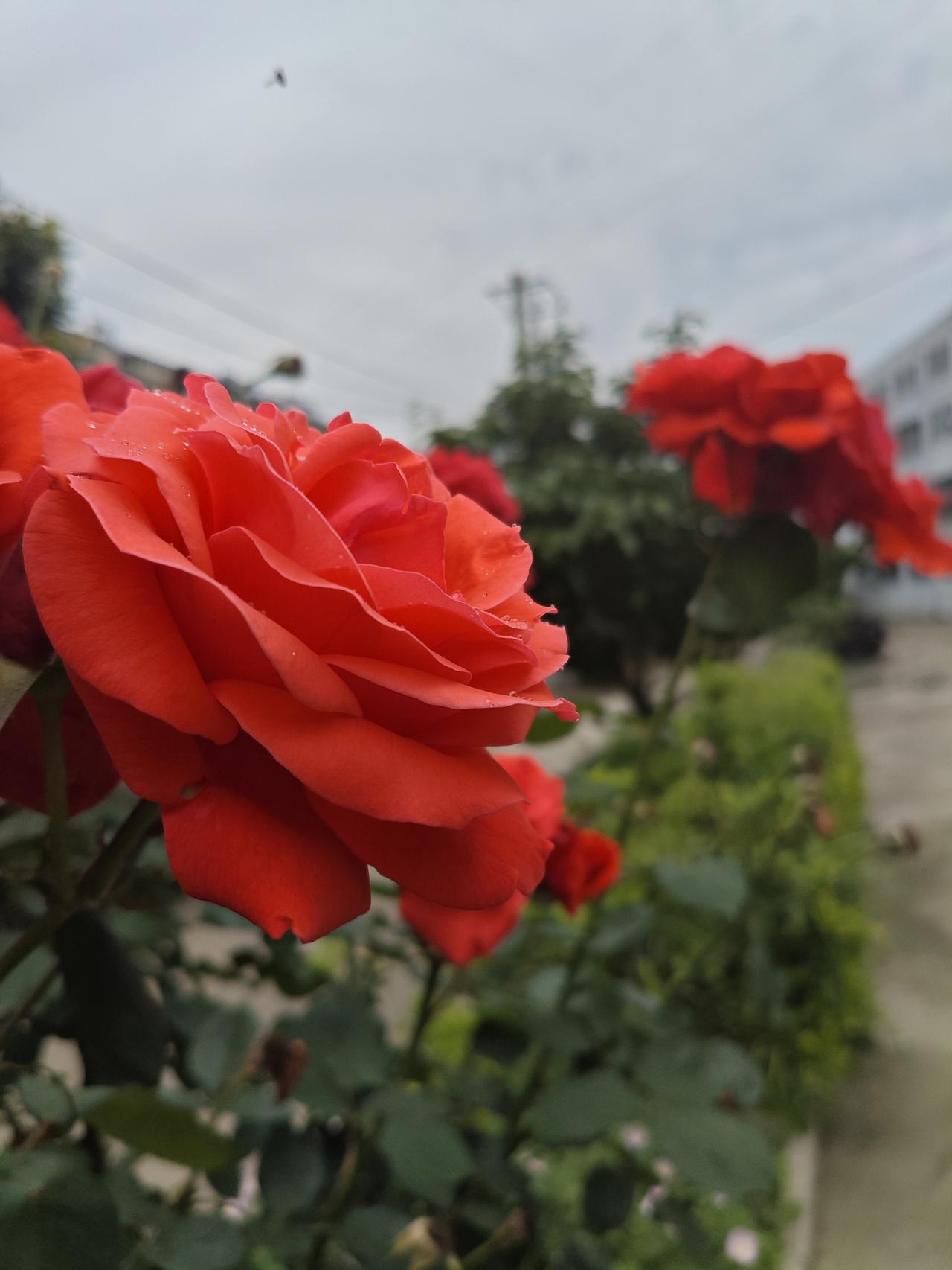 和氵观不同的人应如何相处

和三观不合的人共处，核心是守住边界、降低期待、互不消