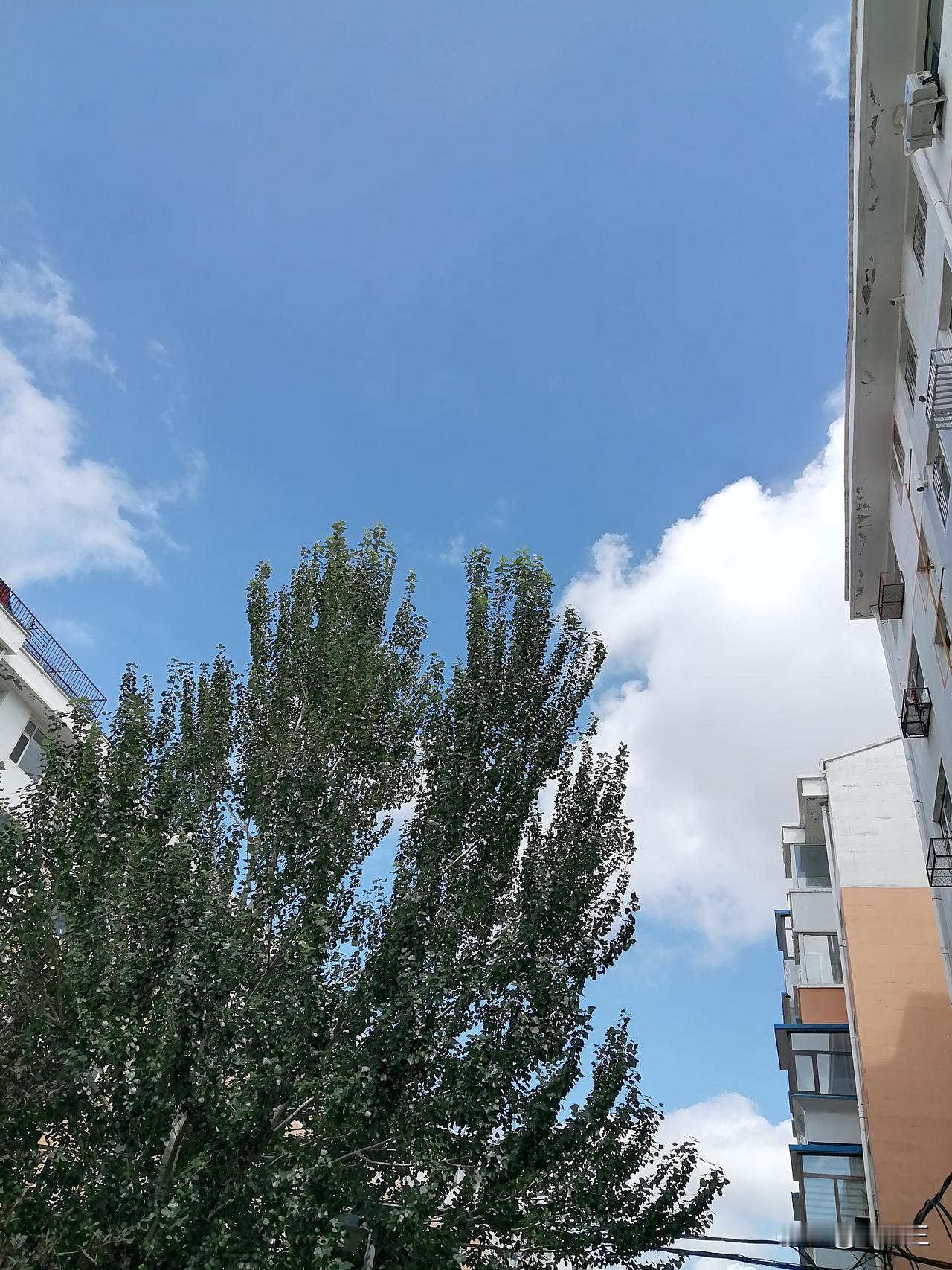 7月份，我花了1504元。

七月份，我除了伙食费之外，还交了一些固定费用，手机