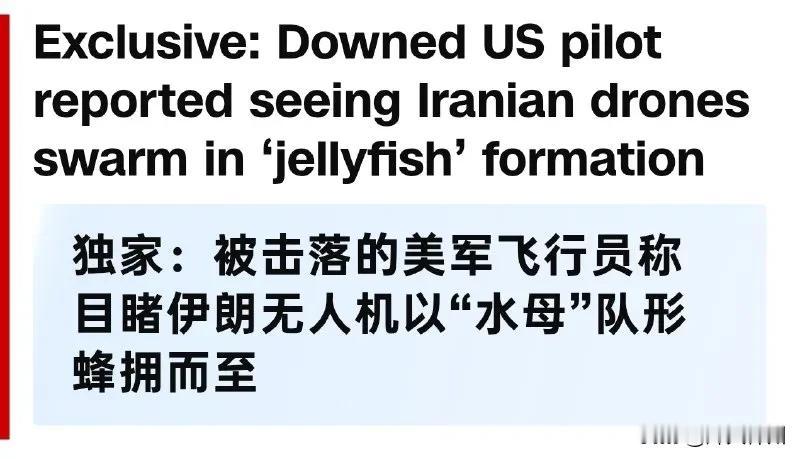 CNN6月24日报道：被击落的美国飞行员报告称看到伊朗无人机以水母形式蜂拥而至。