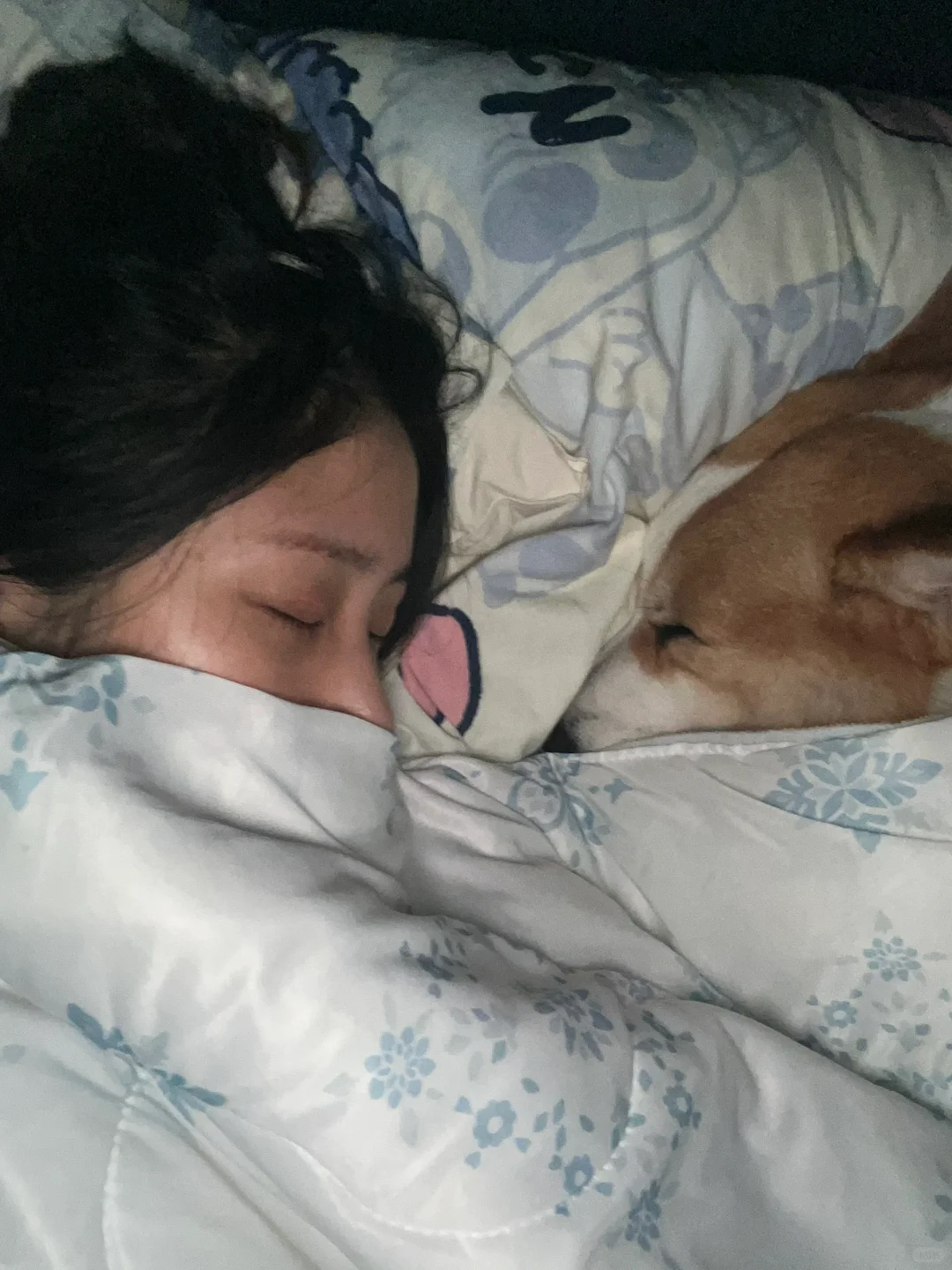 姐夫看上去不是本地人