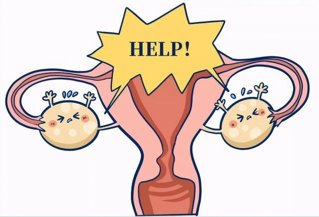 #健康真探社#【伤害卵巢的“罪魁祸首”，女性要重视起来！】卵巢是女性生命的源泉，