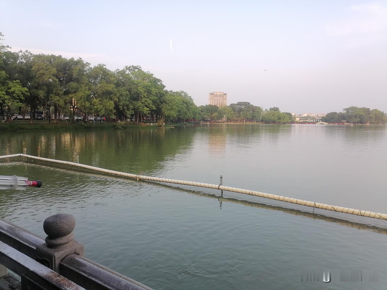 宽阔的湖面，湖边是茂密的树林，树林下人流不息，远处一座古塔，有好多小孩在玩水炮，