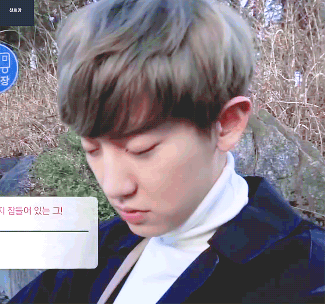 朴灿烈[超话]150411 我独自恋爱中 ​​​  ​​​