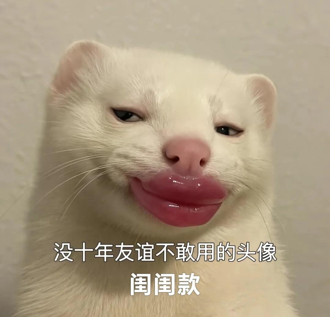 WeChat 搞怪头像
这世界乱糟糟 你就是我的解药搞怪头像 奇奇怪怪的头像 闺