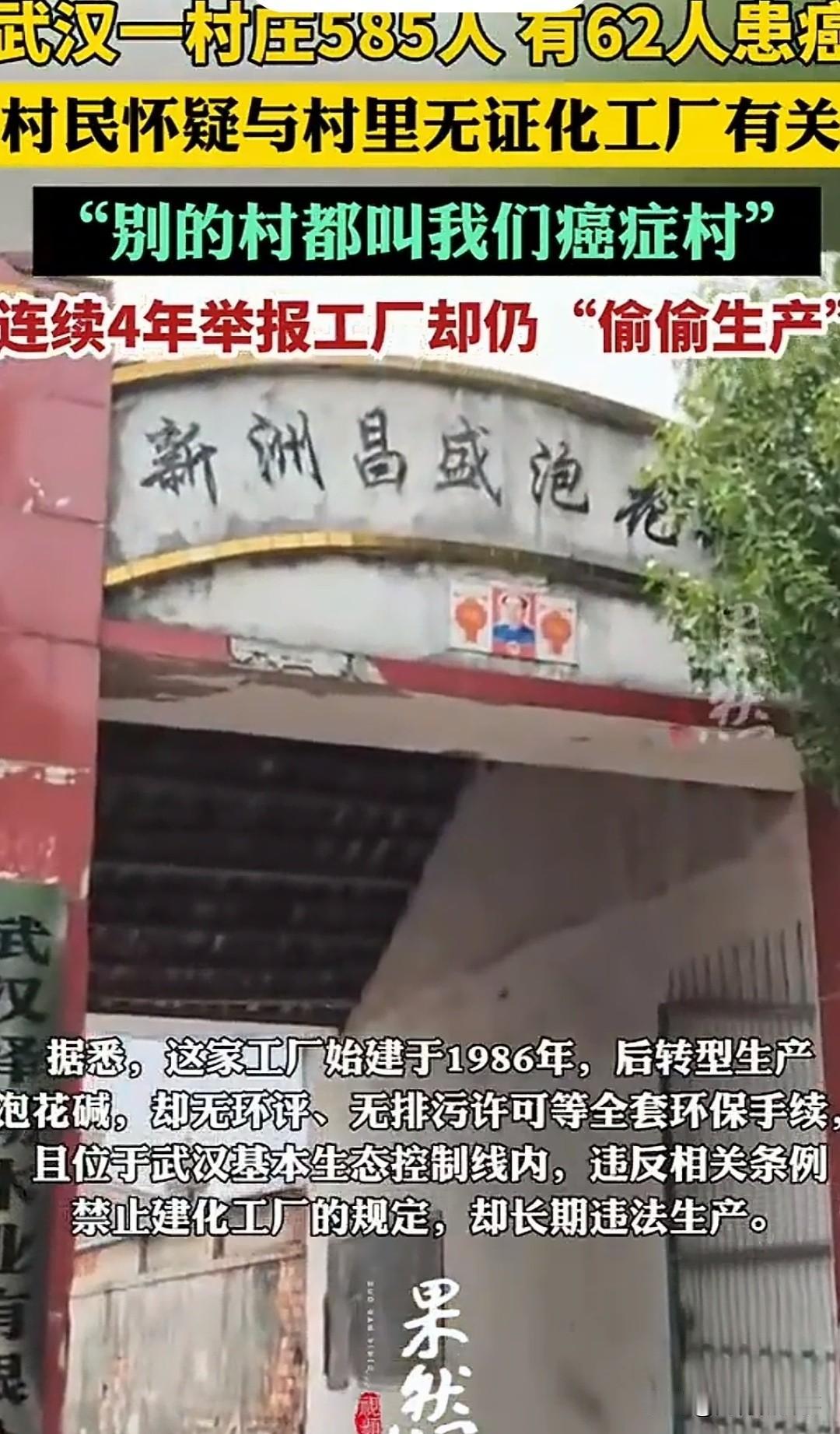 武汉一个只有585人的小村庄，竟然有62人得了癌症和白血病，更可怕的是，其中19