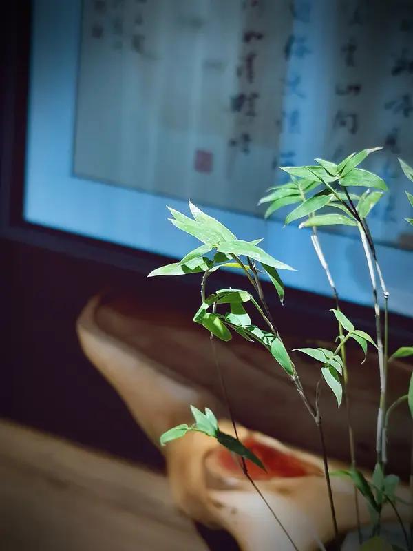 情宜纯洁
 
一片冰心不染尘，清怀雅意最纯真。
相逢淡笑无俗念，对坐无言有至仁。