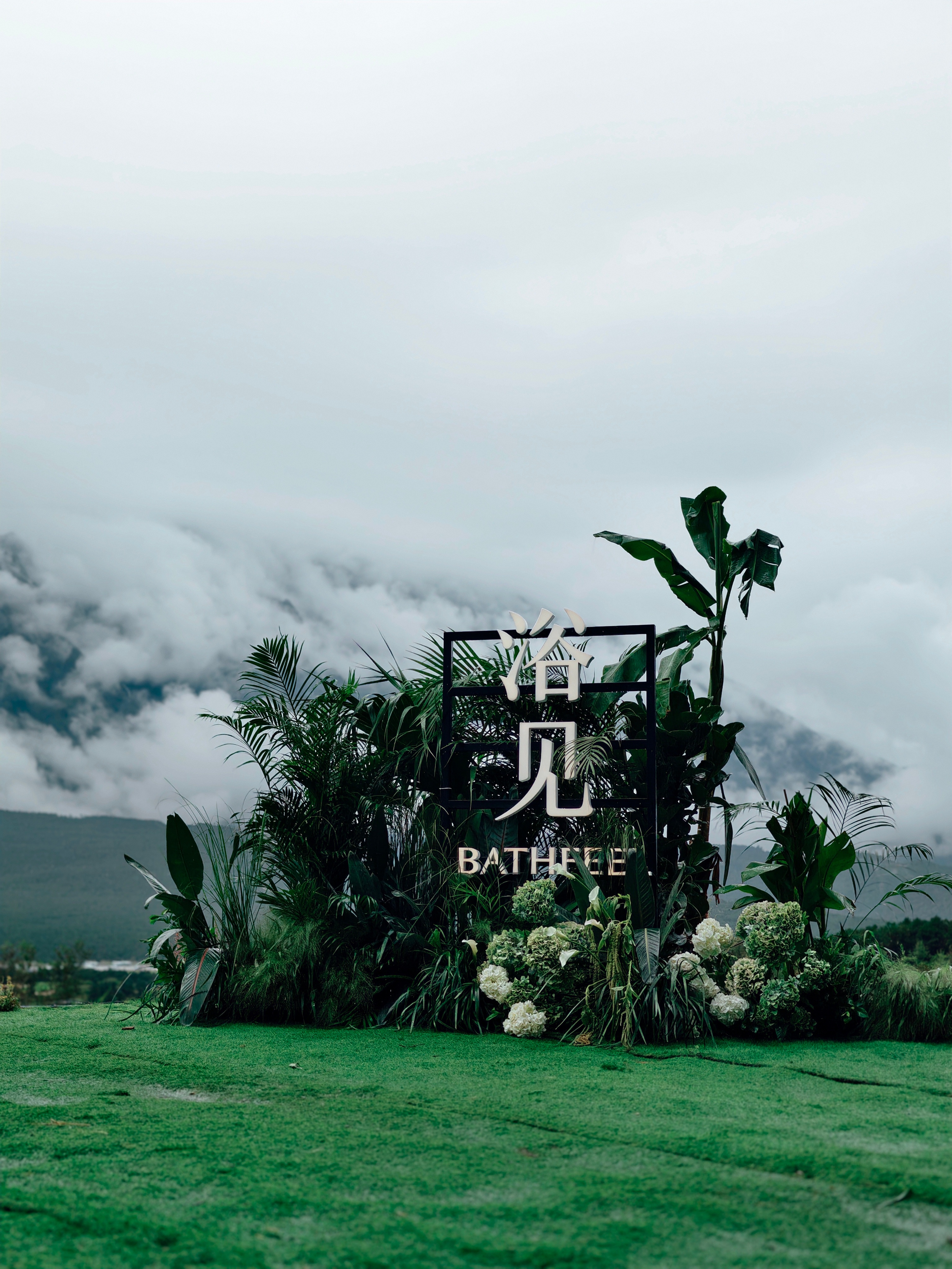 雨后的丽江，和「浴见」一起，在玉龙雪山壮阔的云雾与山色映衬下，见证红松籽修护系列
