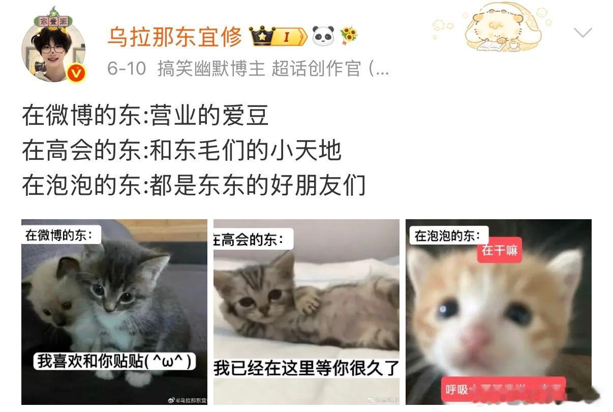 东东在高会说的都是“你们”，在泡泡用的就是“你”，真的是特别有秩序感的小朋友，在