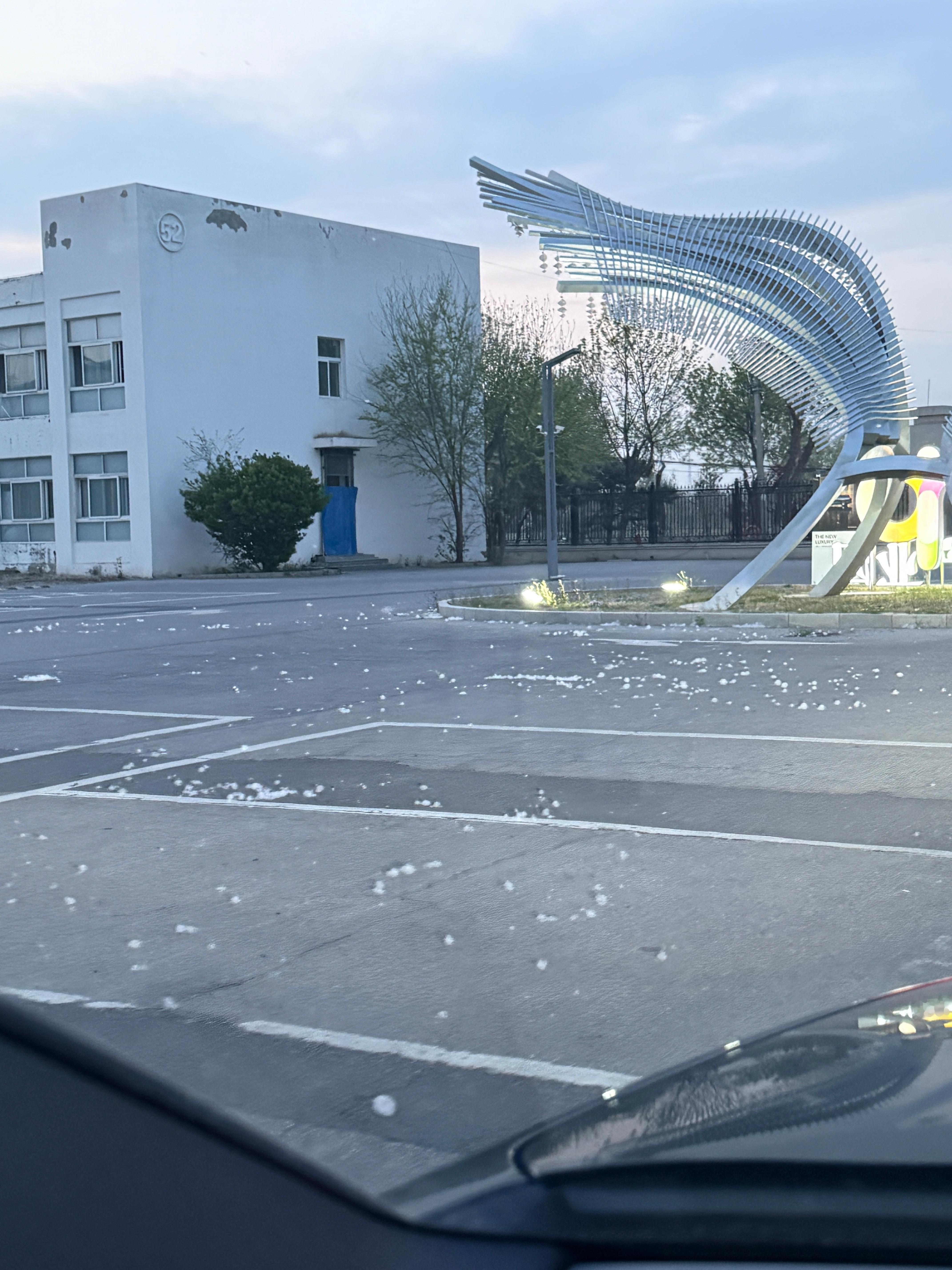 官方回应为什么不能把杨柳树都砍了怕你们没见过四月的北京漫天杨絮那叫一个浪漫啊……