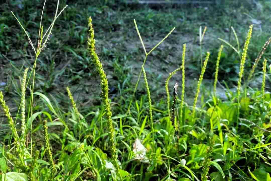 我的今日状态：😁轻松愉快
我这里的天气：☀️晴天